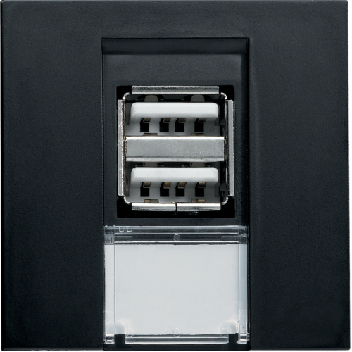 Utičnica 2xUSB 2M, crna boja